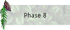 Phase 8