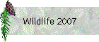Wildlife 2007