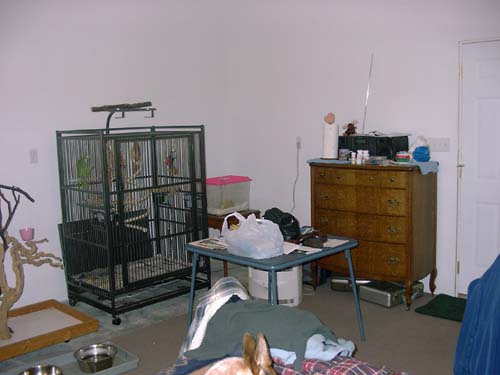 0091 - here's Mija and Jake's corner