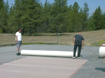 0225 - Cutting the carpet on our parents driveway
