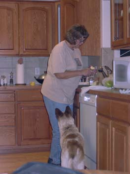 0236 - Cooking in the kitchen at last at last