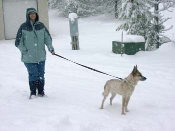 0279 - Here's Sue and our snow doggie, Bud