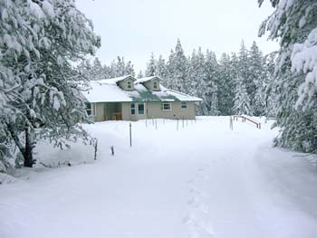 0290 - Our snow pictures