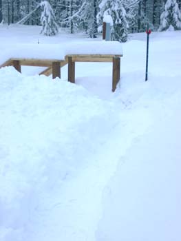 0291 - Snow pictures