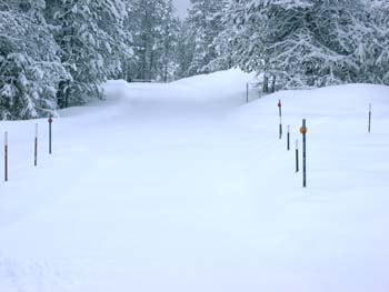 0292 - Snow pictures