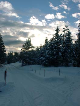 0298 - The sky's clearing