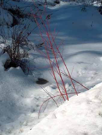 0314 - Scenic drive we took