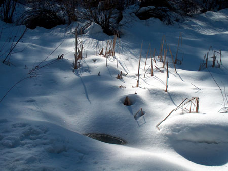 0315 - Scenic drive we took