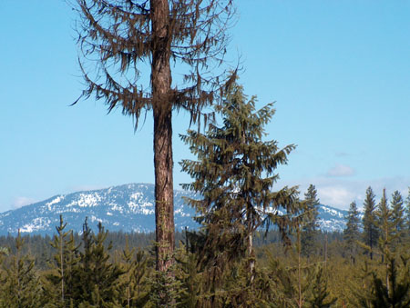 0317 - Scenic drive we took