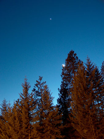 0319 - A shot of the moon and planet