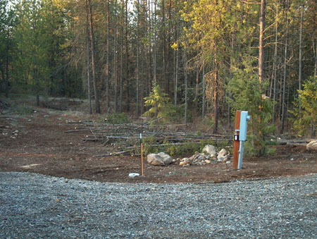 0332 - More trees waiting to be chipped