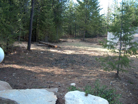 0345 - This pile is chipped now too