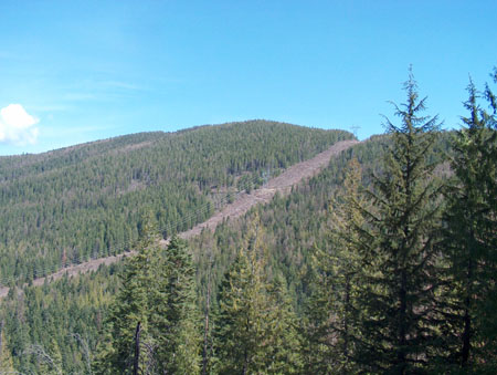 0348 - Power lines going into Montana