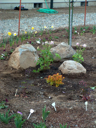 0352 - Our very own boulders