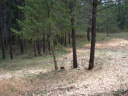 0355 - This represents a weeks worth of work